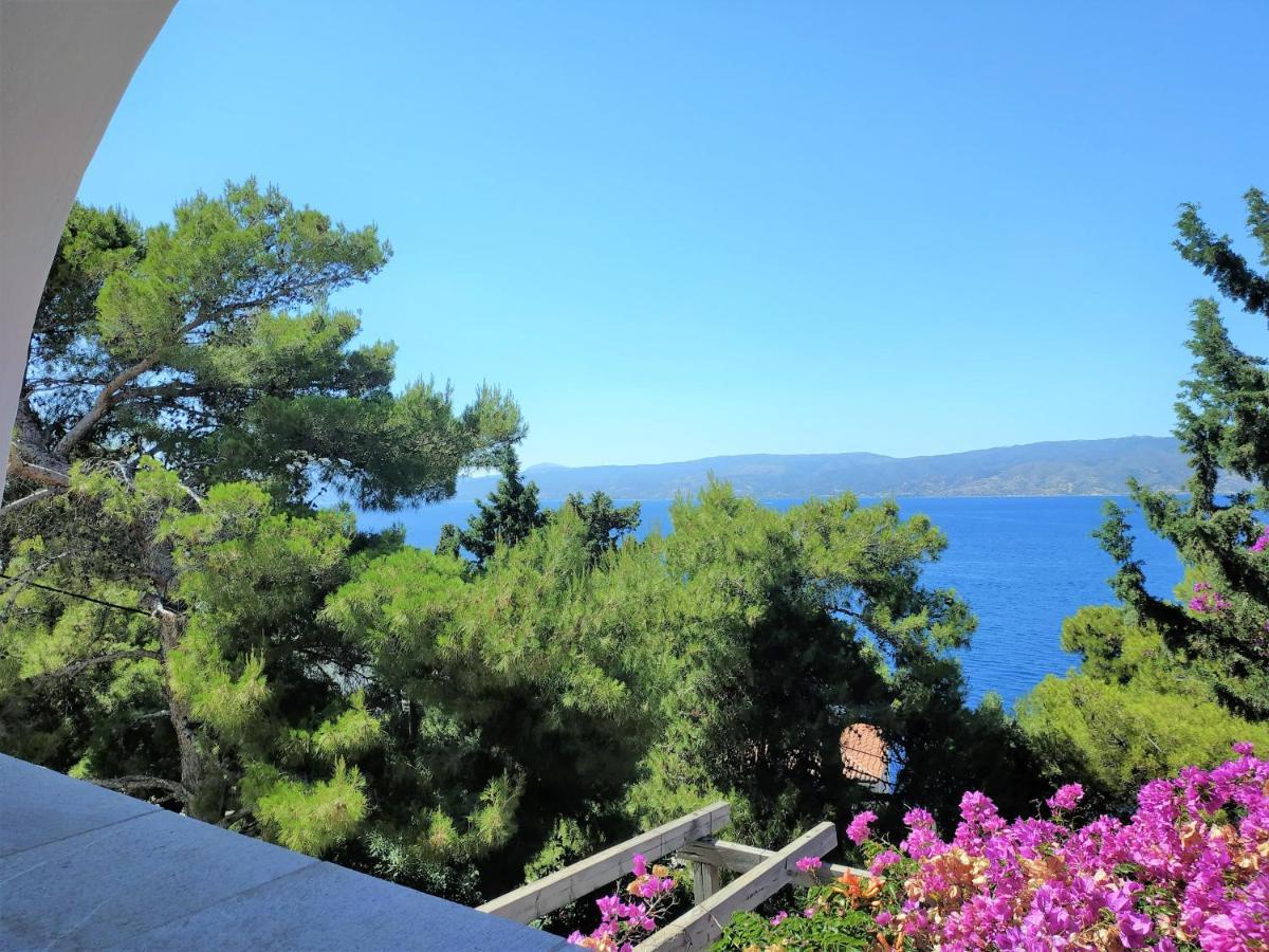 Pine Trees And Sea View Houses In Hydra - Daphne, Chloe, Myrto, Eleni Exteriör bild