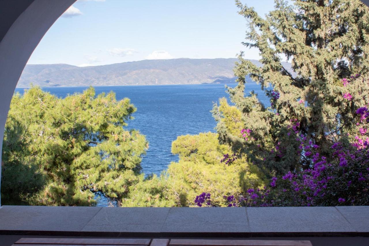 Pine Trees And Sea View Houses In Hydra - Daphne, Chloe, Myrto, Eleni Exteriör bild