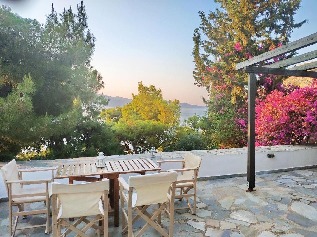 Pine Trees And Sea View Houses In Hydra - Daphne, Chloe, Myrto, Eleni Exteriör bild