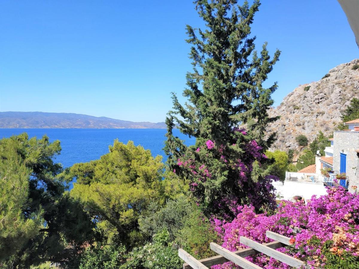 Pine Trees And Sea View Houses In Hydra - Daphne, Chloe, Myrto, Eleni Exteriör bild
