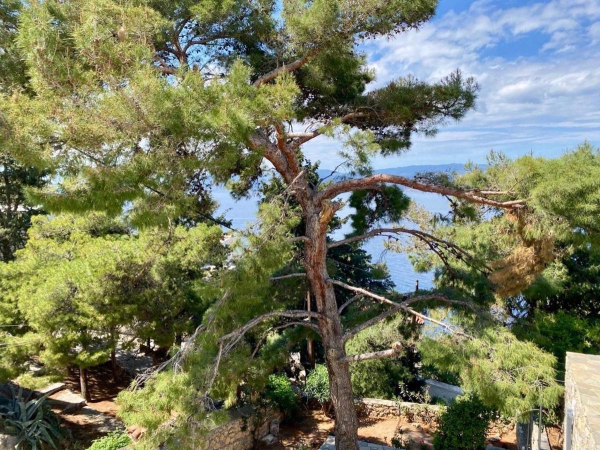Pine Trees And Sea View Houses In Hydra - Daphne, Chloe, Myrto, Eleni Exteriör bild