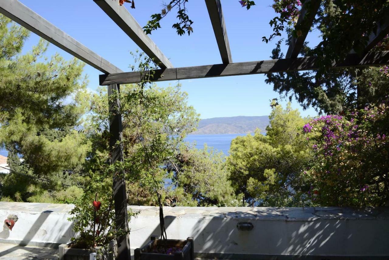 Pine Trees And Sea View Houses In Hydra - Daphne, Chloe, Myrto, Eleni Exteriör bild