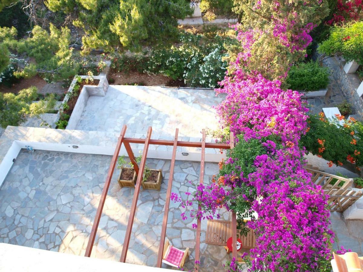 Pine Trees And Sea View Houses In Hydra - Daphne, Chloe, Myrto, Eleni Exteriör bild